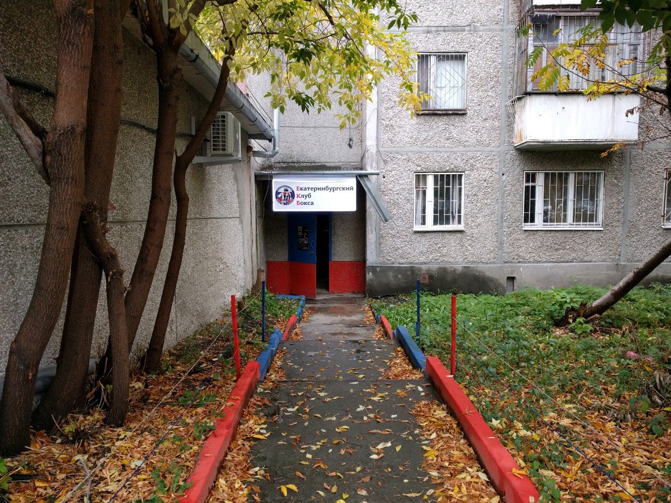 Тренировка по боксу для взрослых